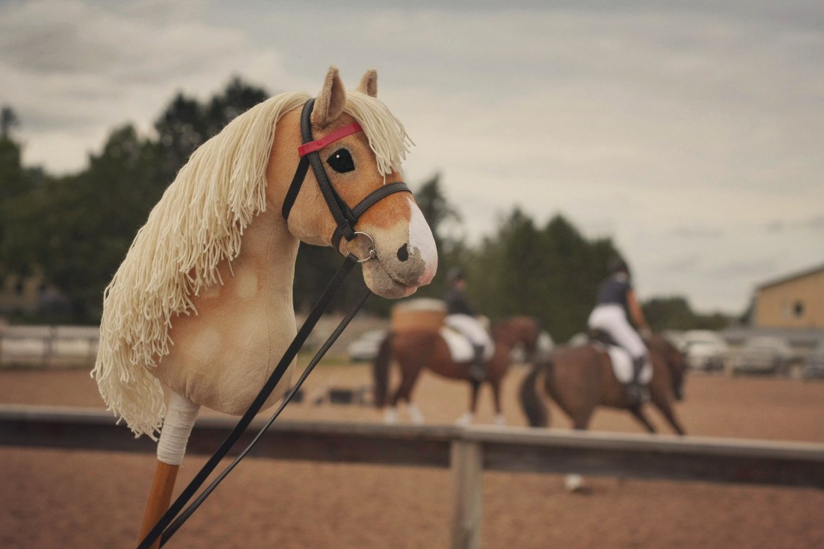 Пегий Хоббихорс