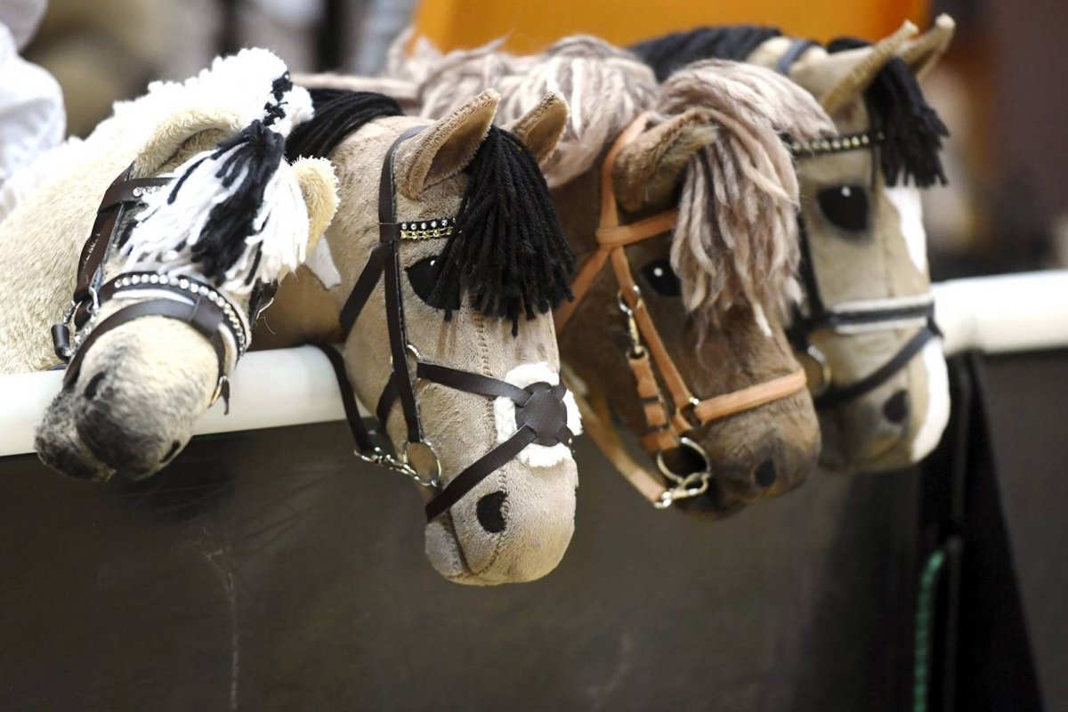 Хоббихорсинг Алиса