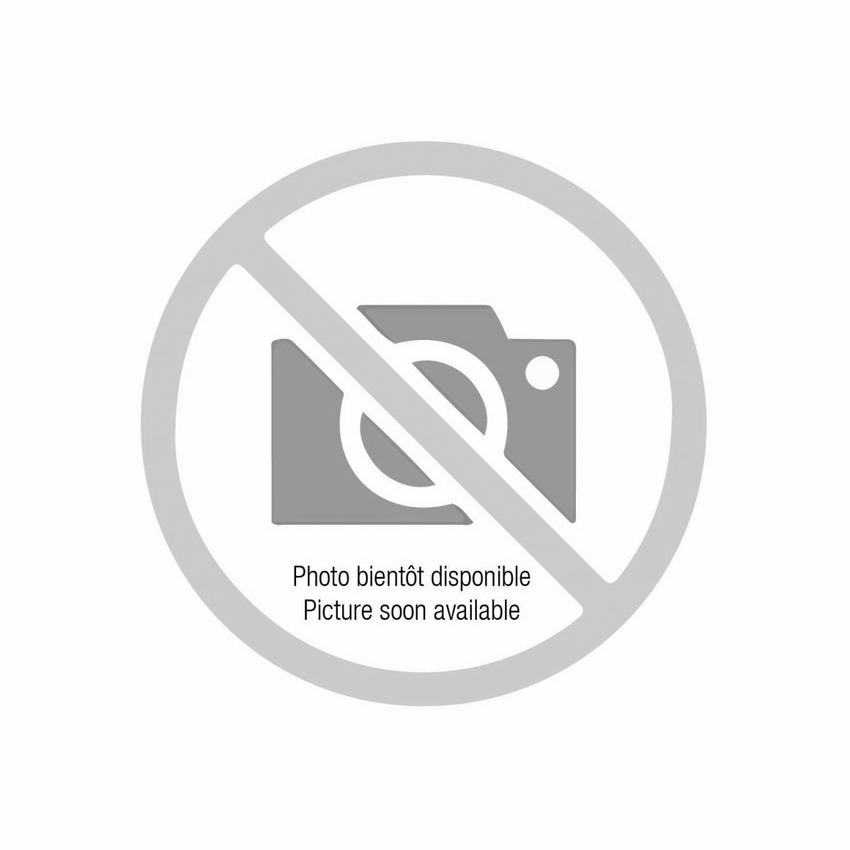 Стая летучих мышей