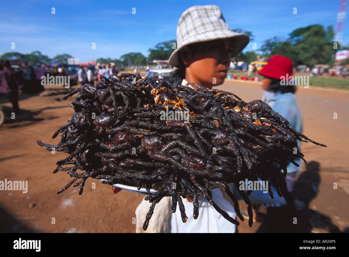 Пауки наводнение