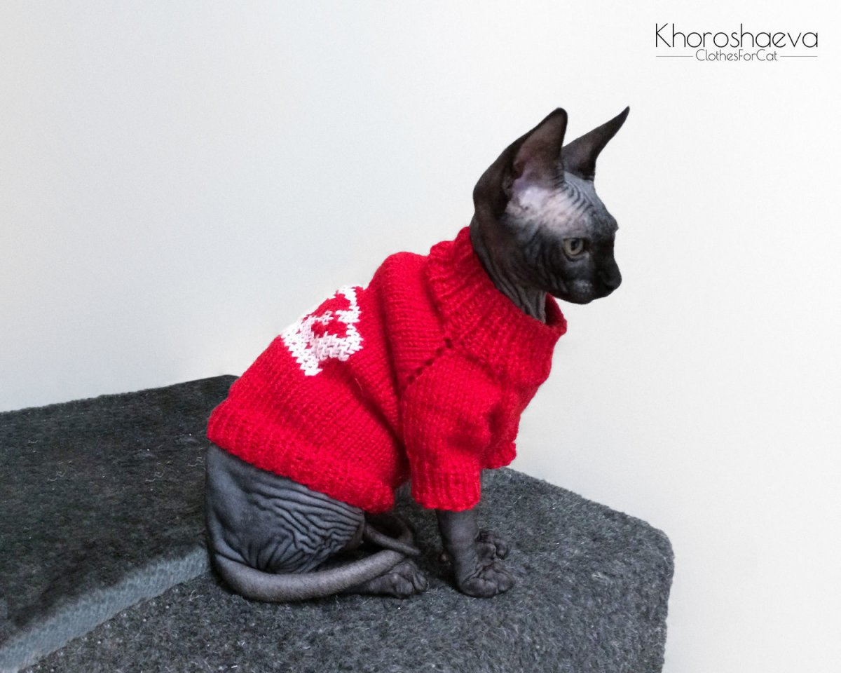 Сфинкс в свитере