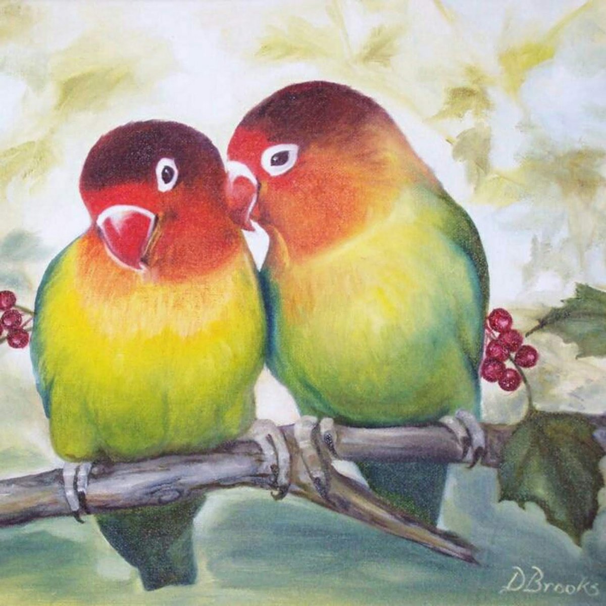 Попугаи неразлучники Эстетика