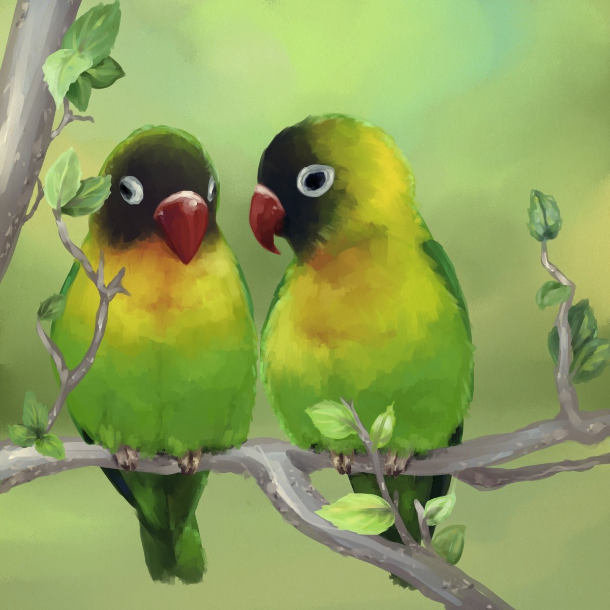 Неразлучники попугаи чириканье