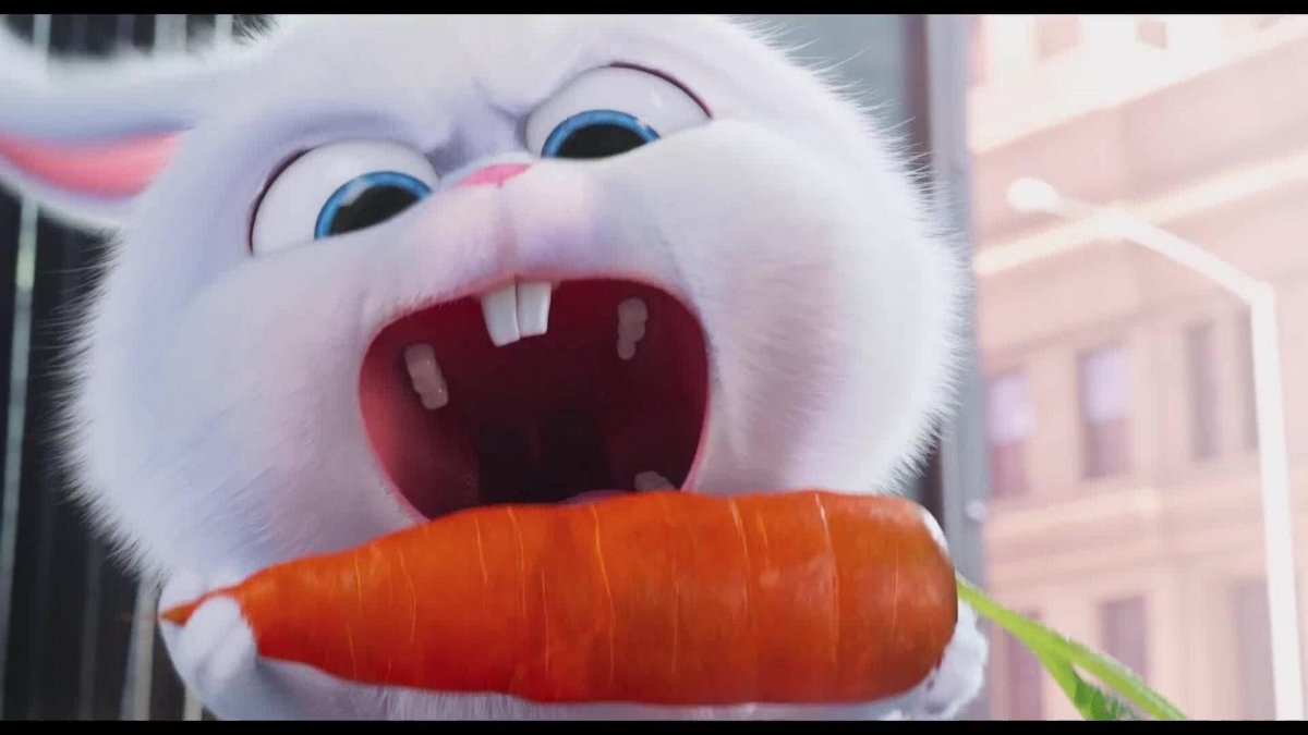 Злой заяц с морковкой