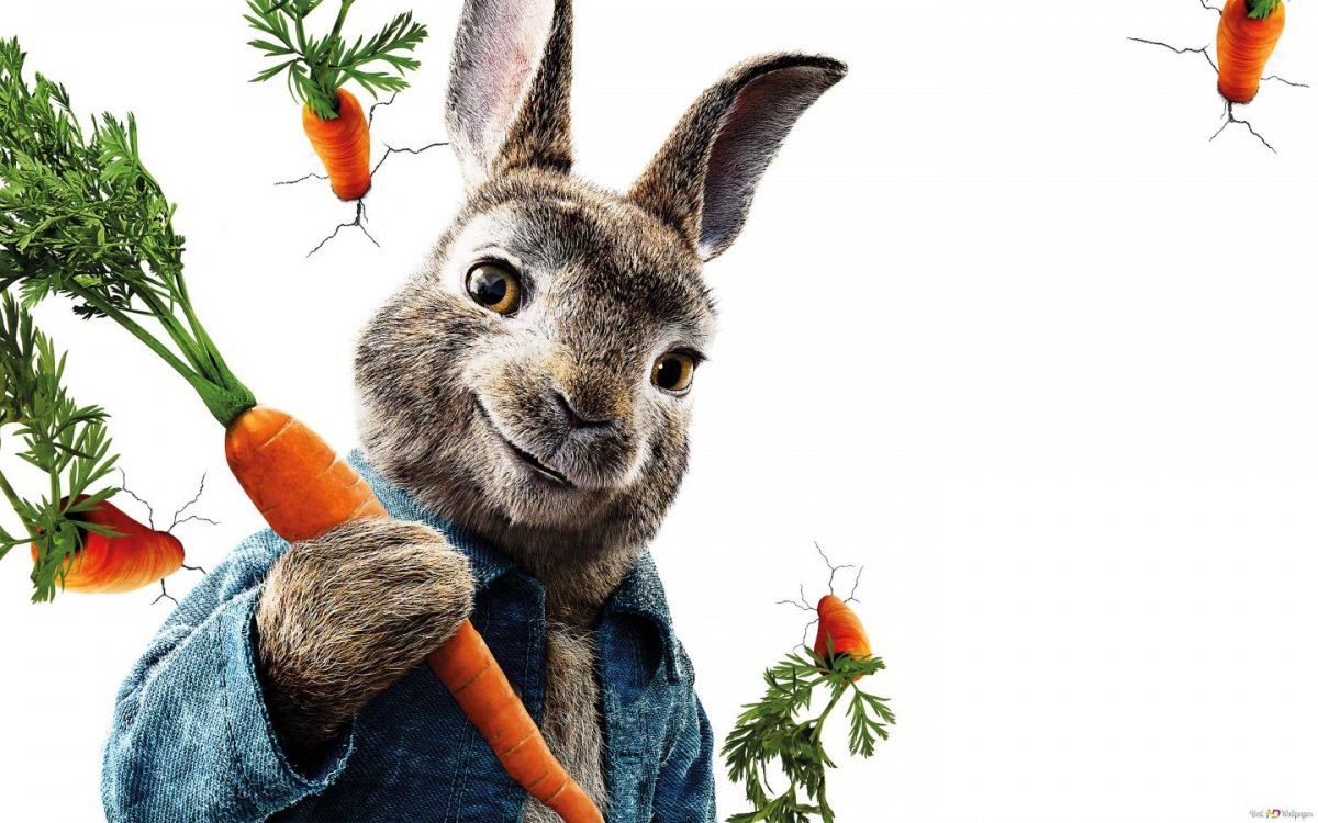 Кролик снежок дизайн ногтей