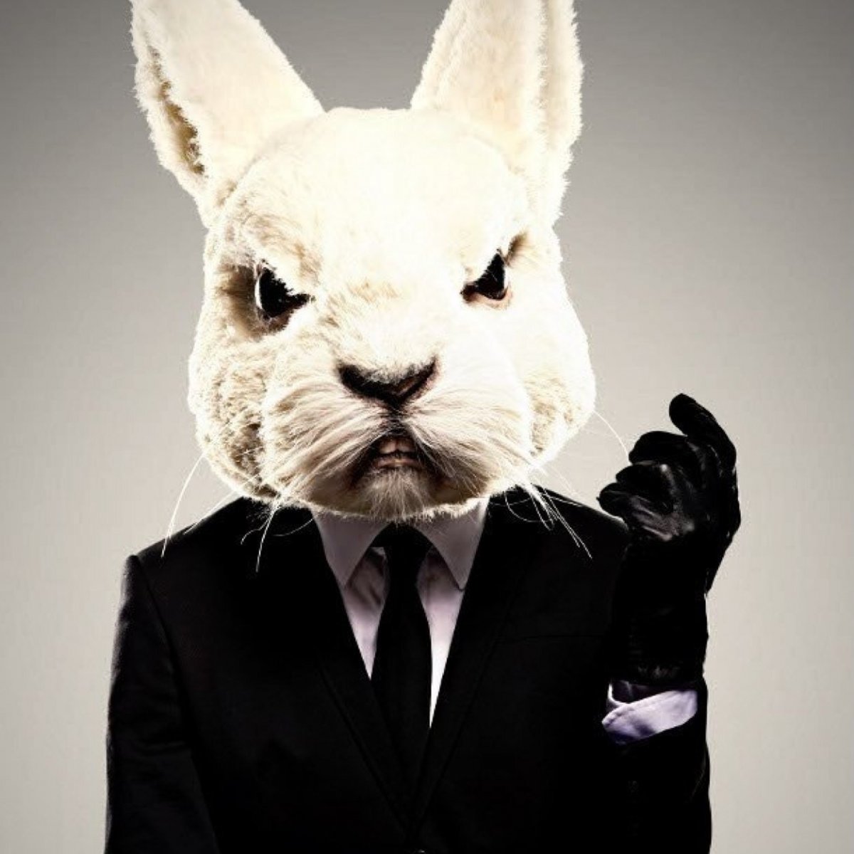 Кролик креативный