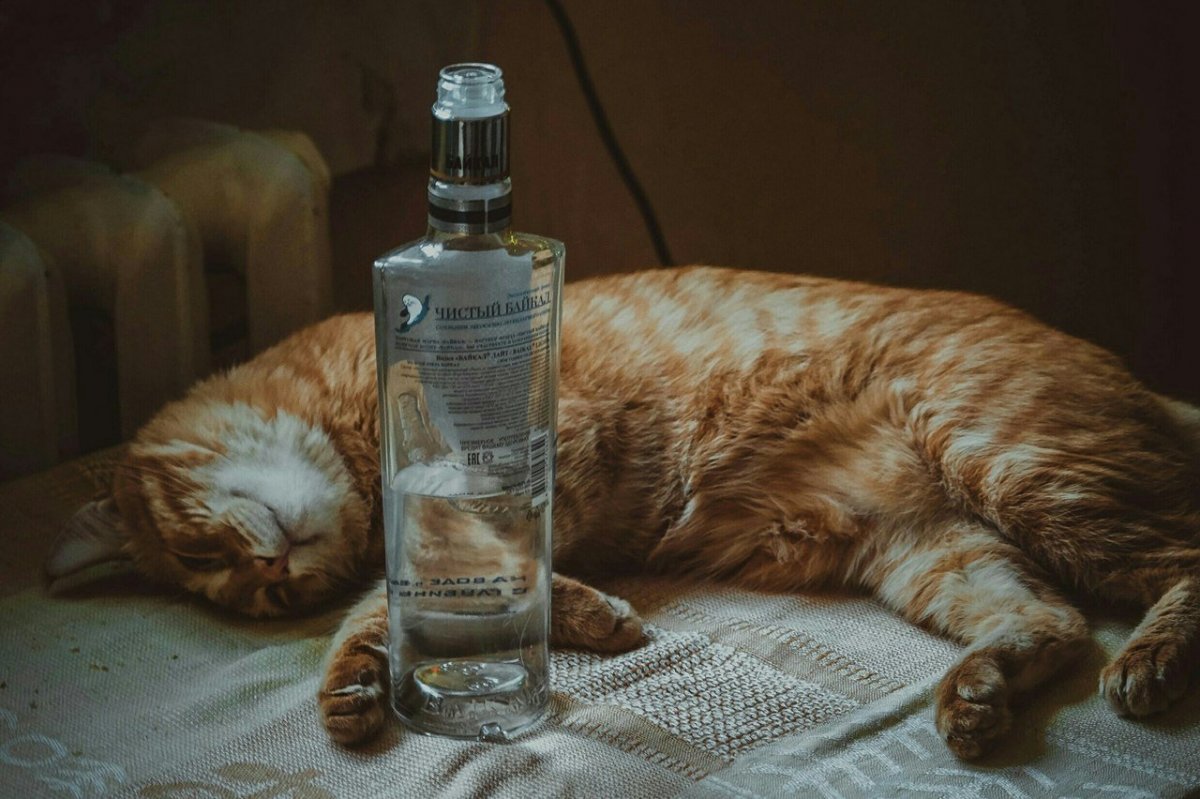 Дмитрий Трубин художник мышь