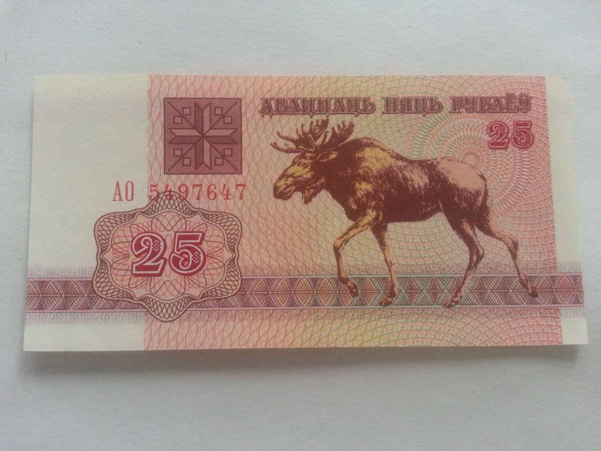 Белорусские деньги с бобрами