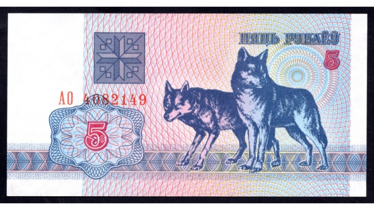 Белорусские зайчики