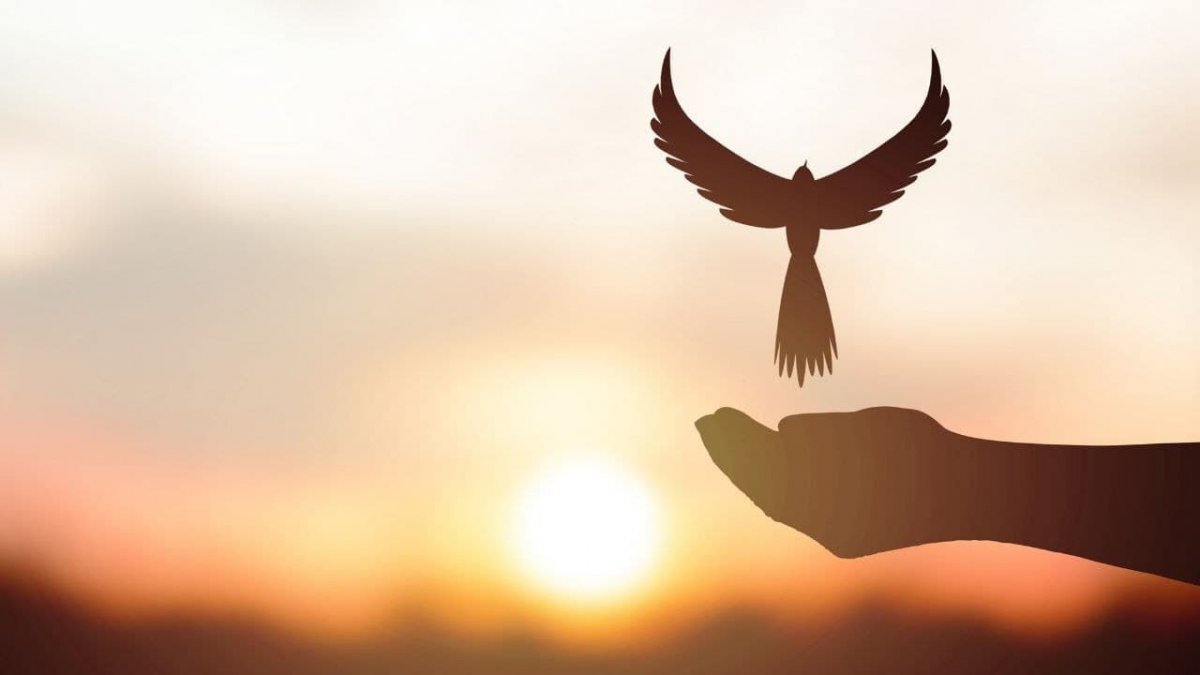 Золотой Феникс птица