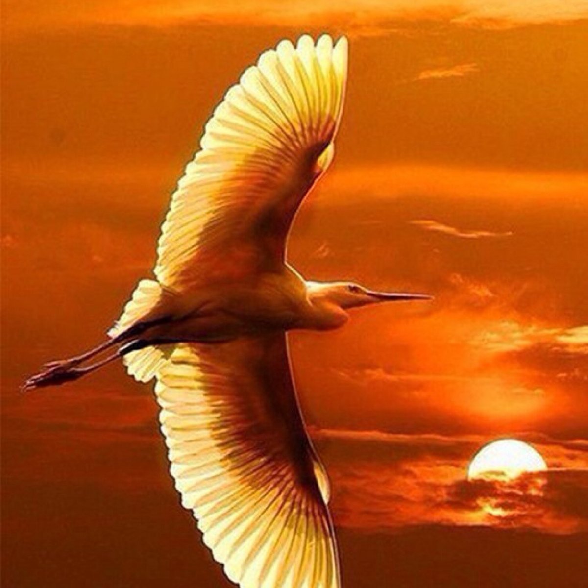 Небо Свобода