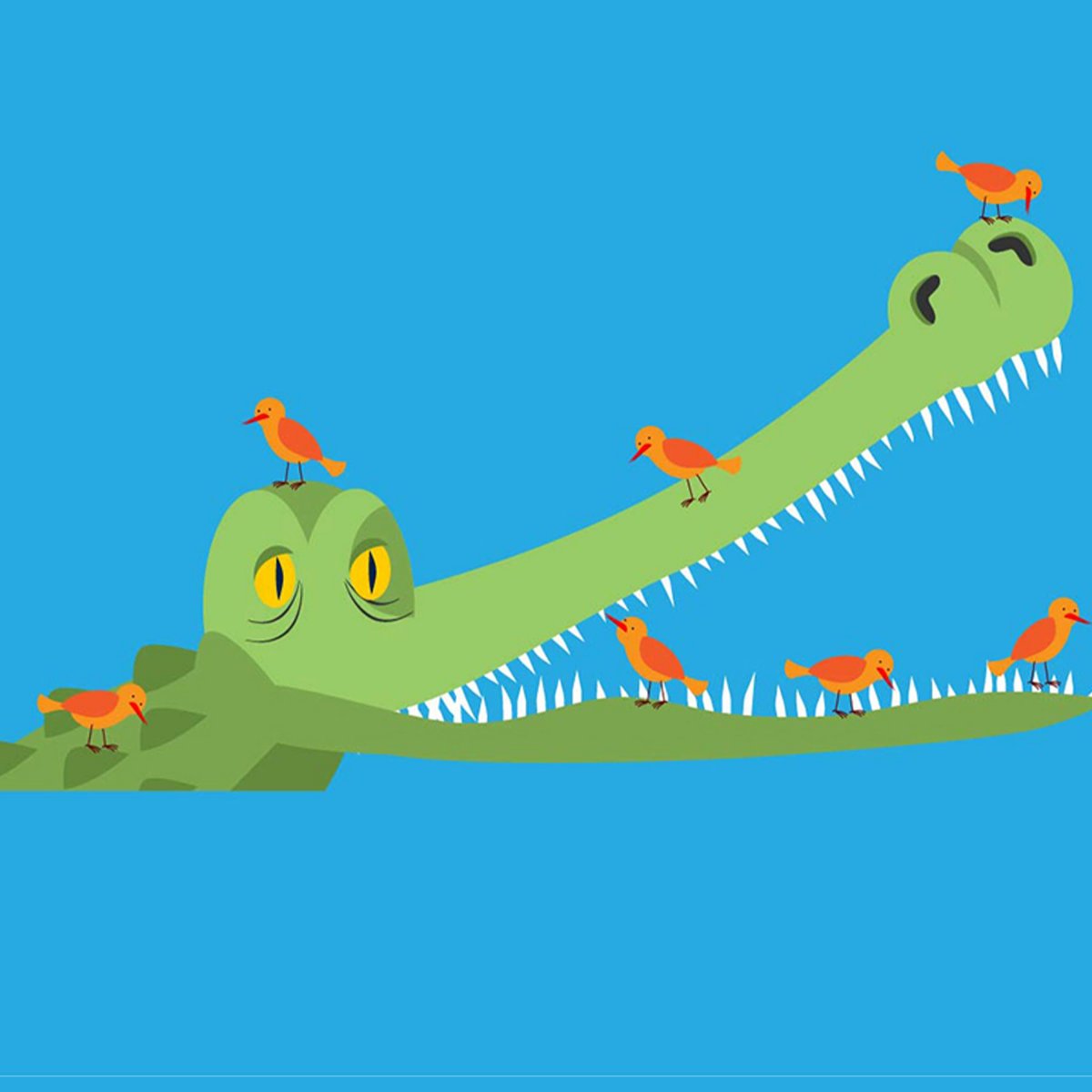 Центральноамериканский крокодил