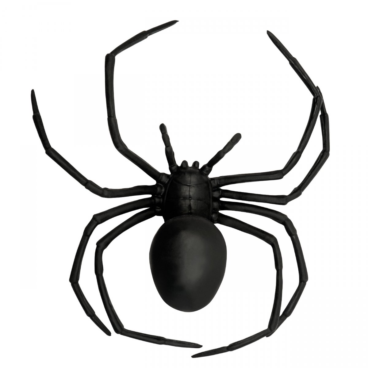 Черная вдова паук вид сверху