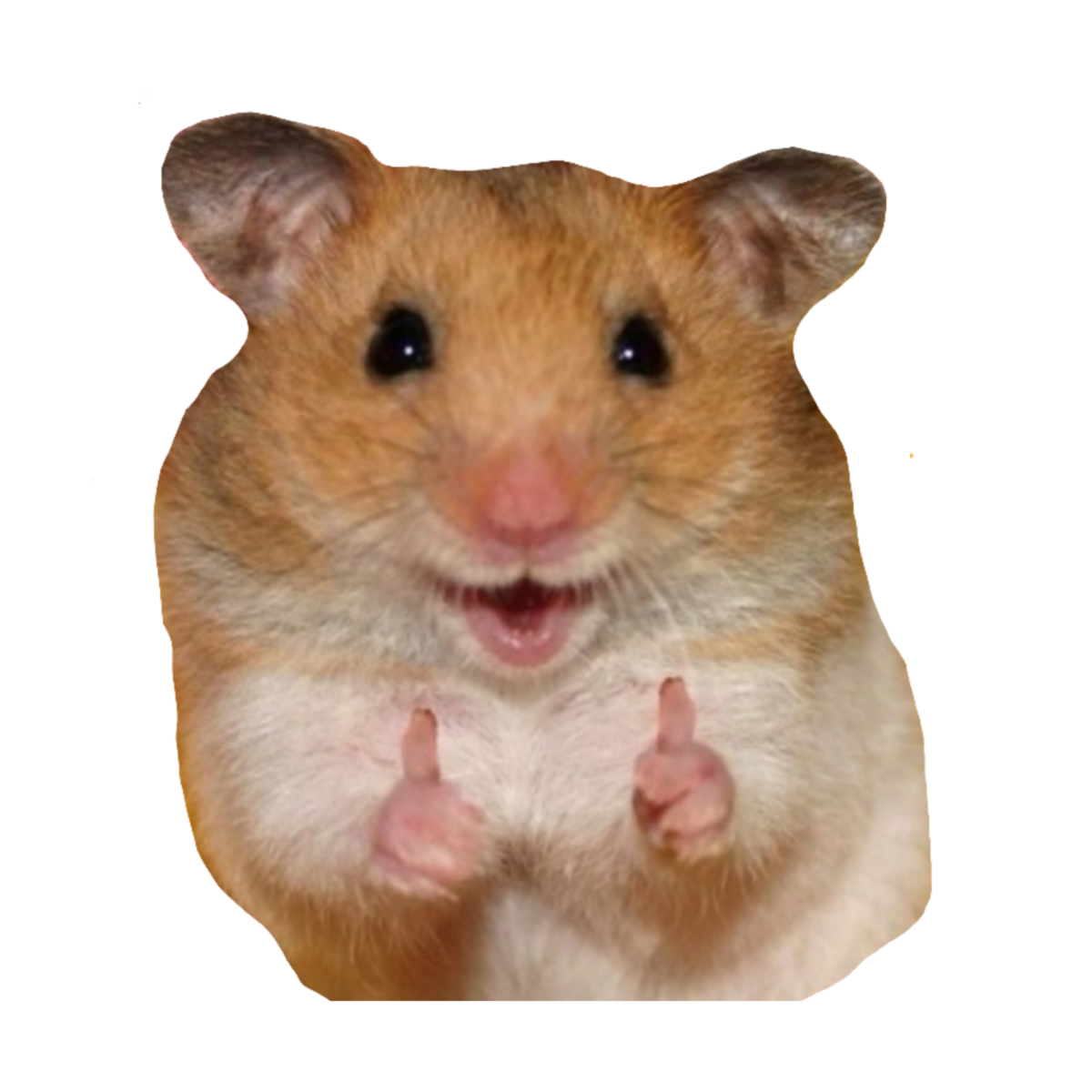 Хомячок в шапочке