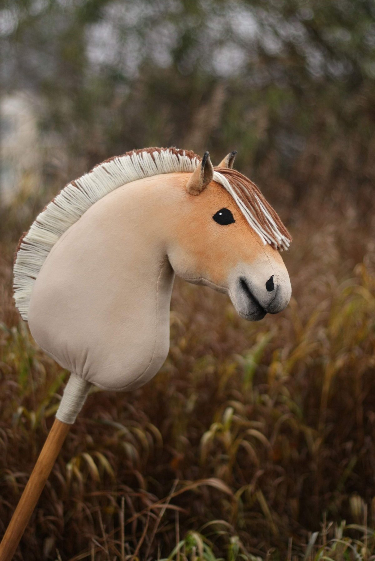 Фьорд лошадь хобби Хорс