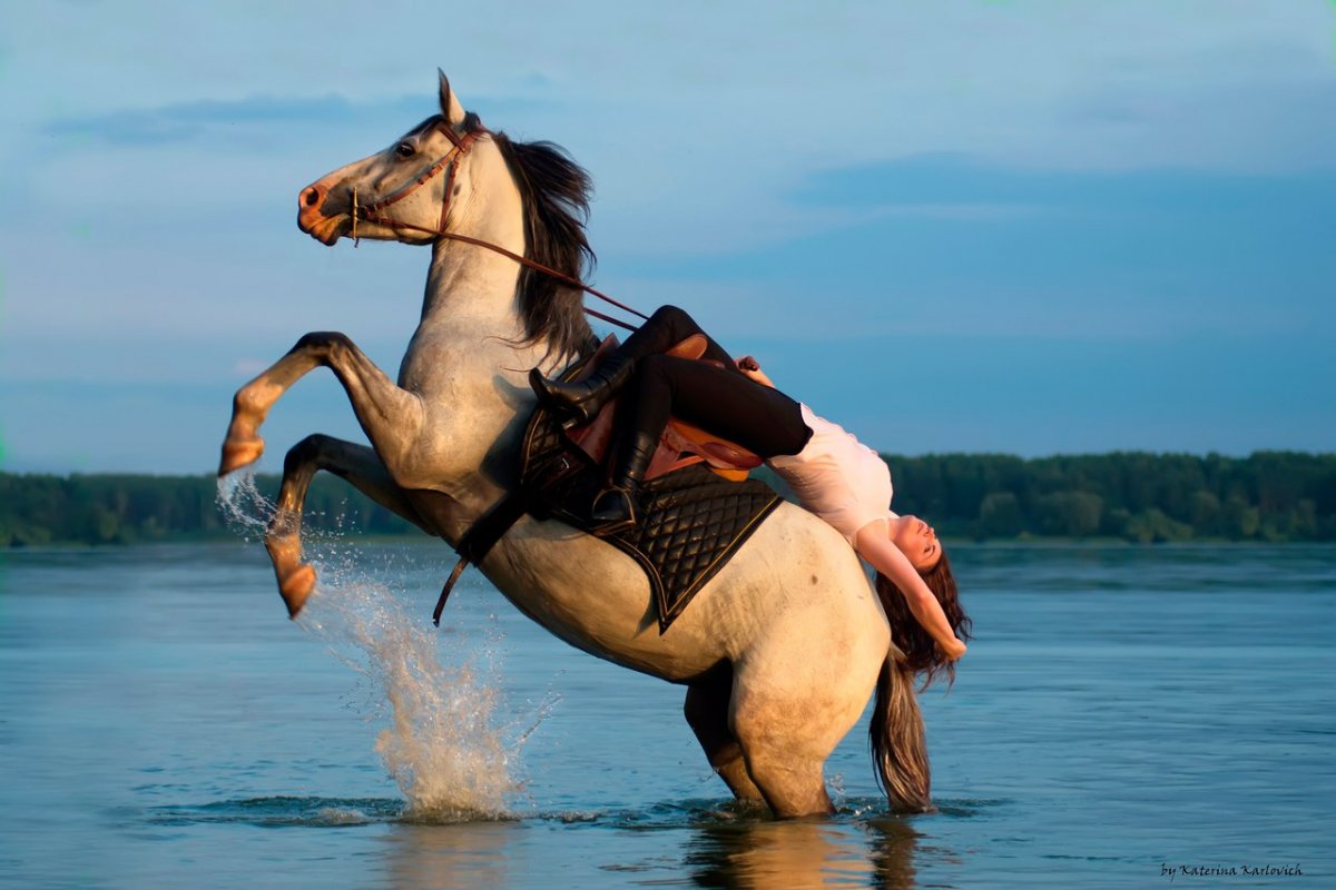 Обессиленная лошадь