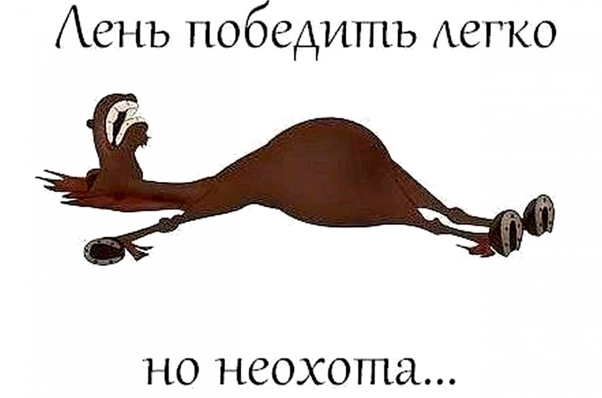 Мальчик на лошади