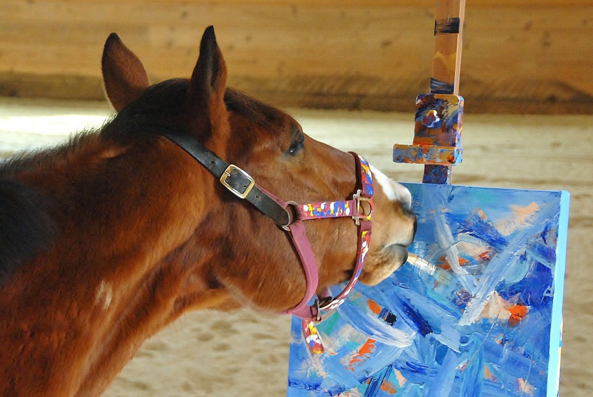 Конь черно белый