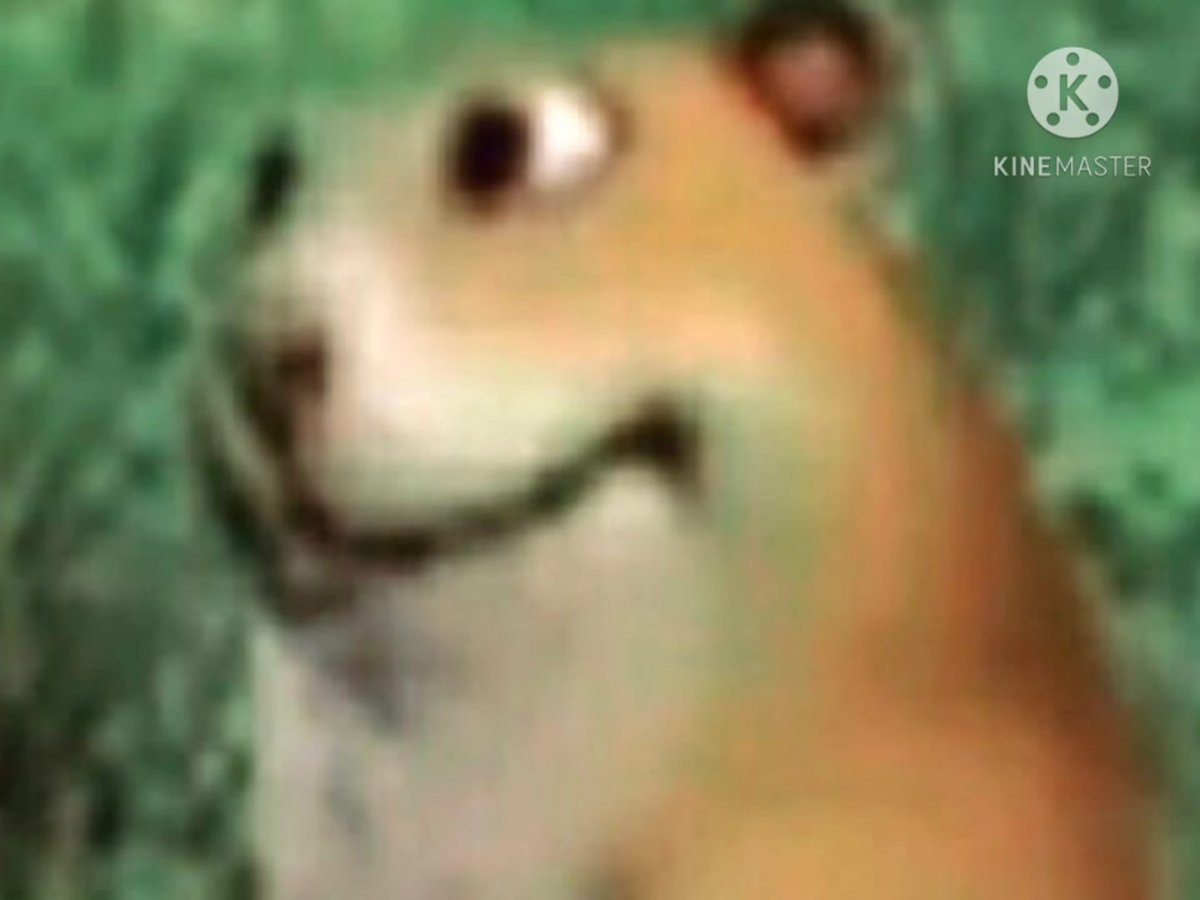 Танцующий хомяк в наушниках