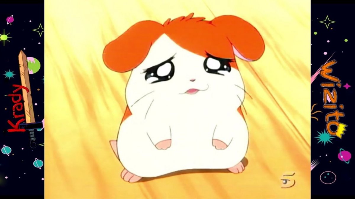 Хомяк плачет