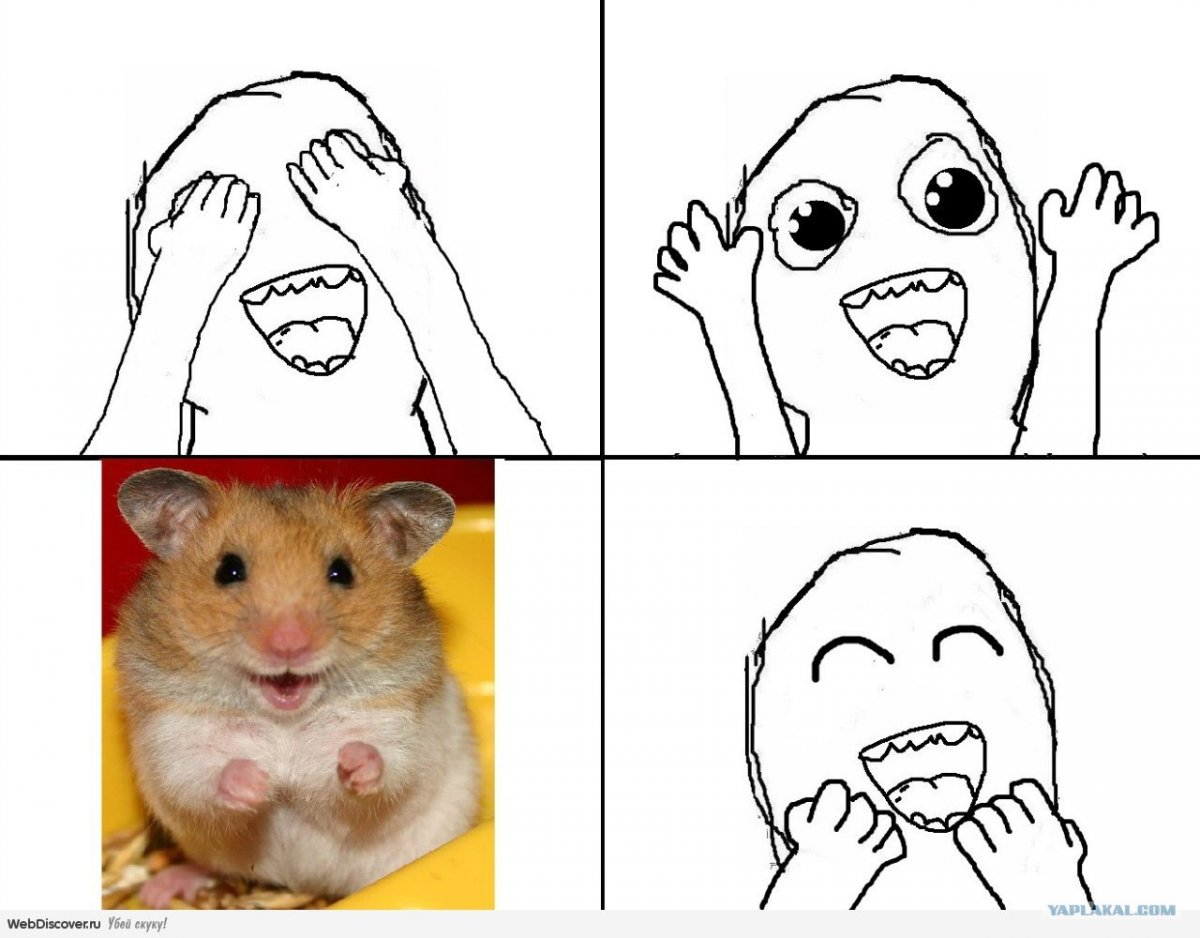 Хомяк Игроман