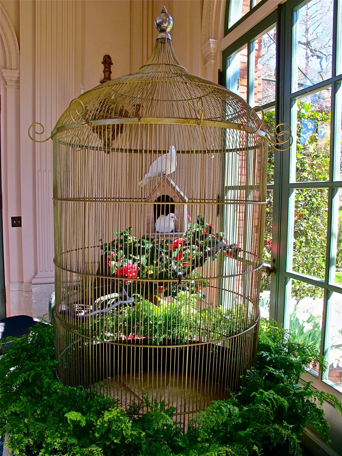 Птица в клетке