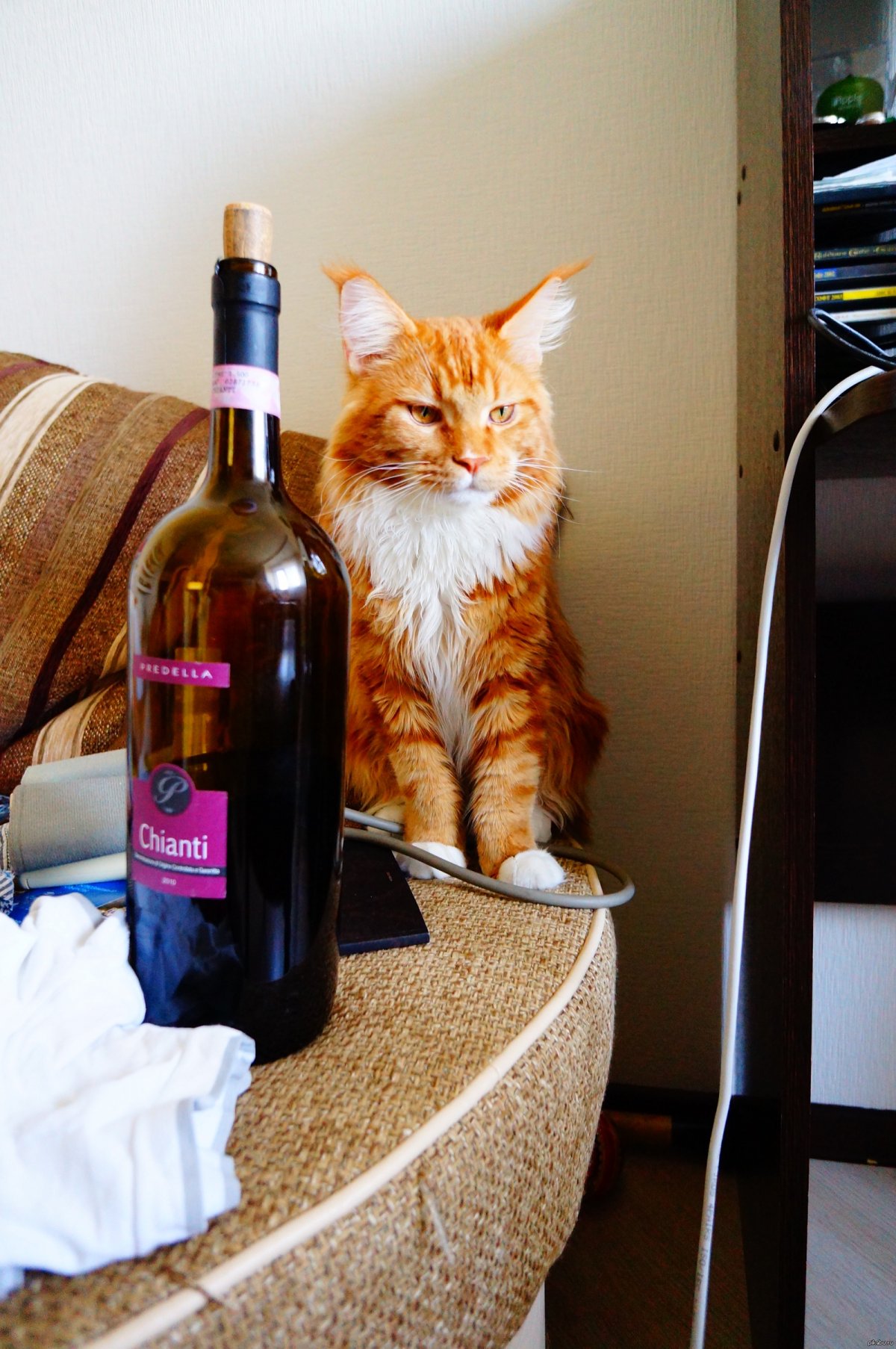 Деревянный значок котик