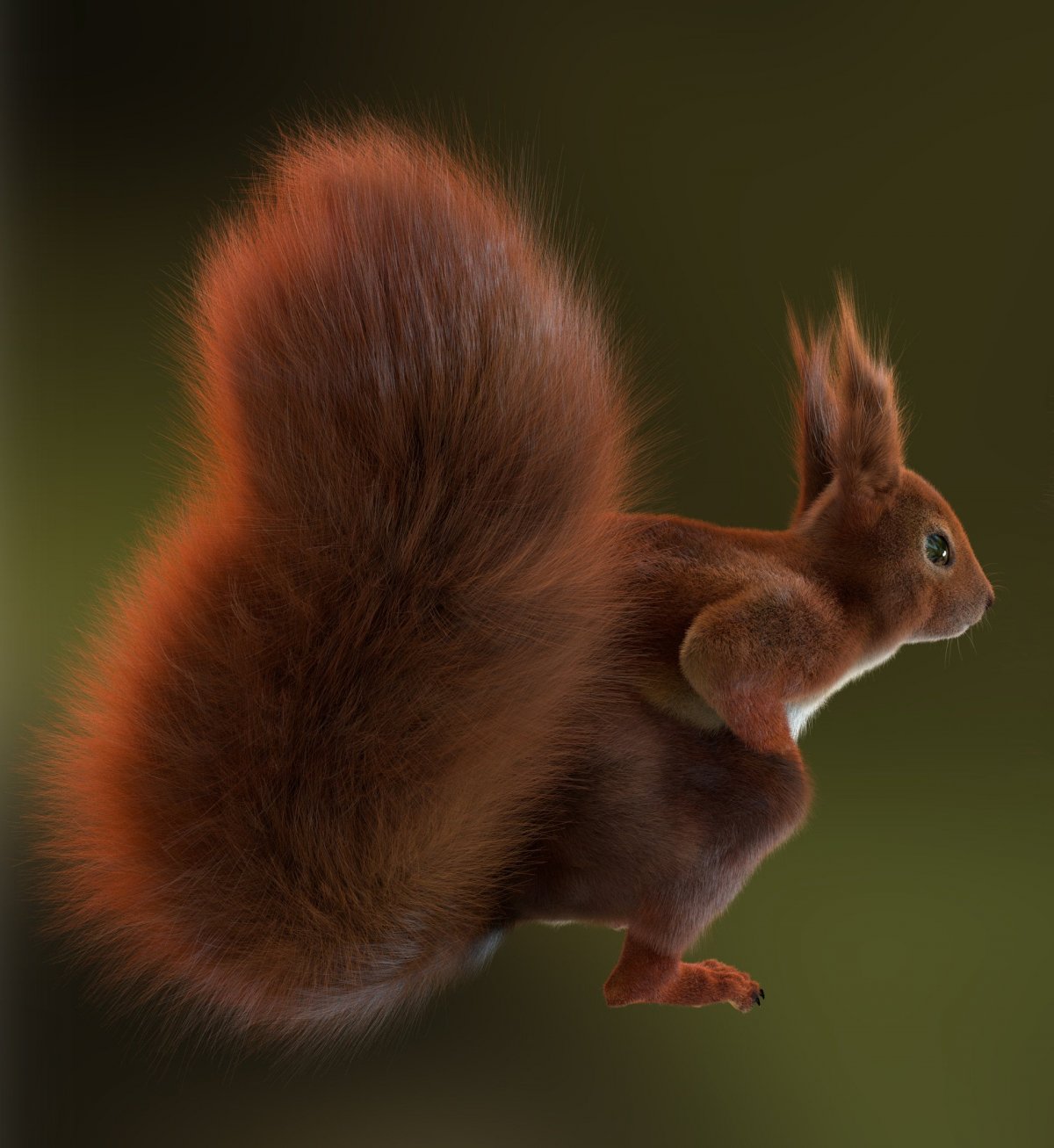 Енот какомицли