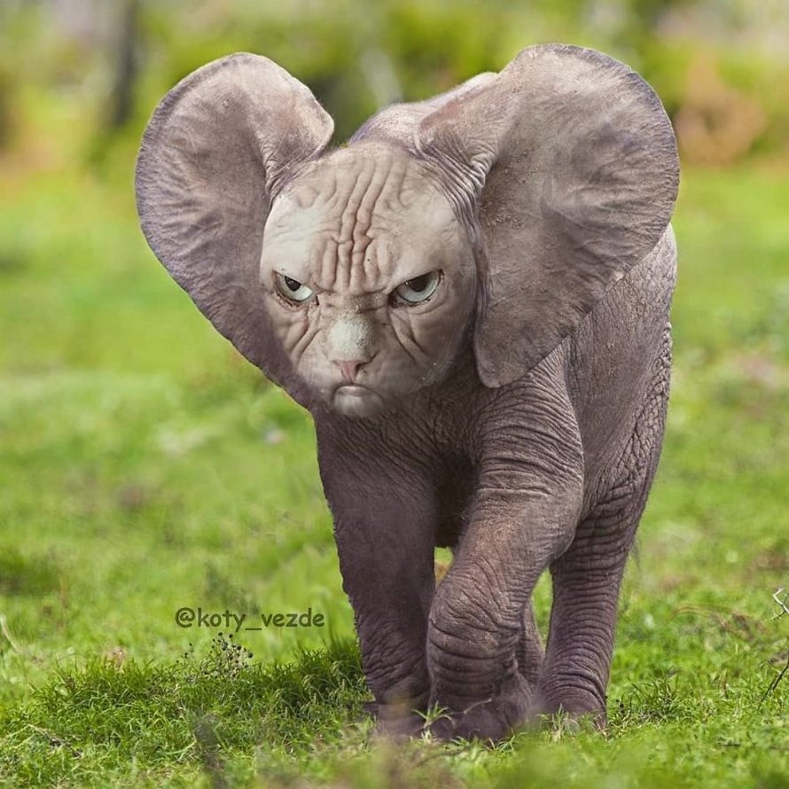 Арне Олав Гурвин