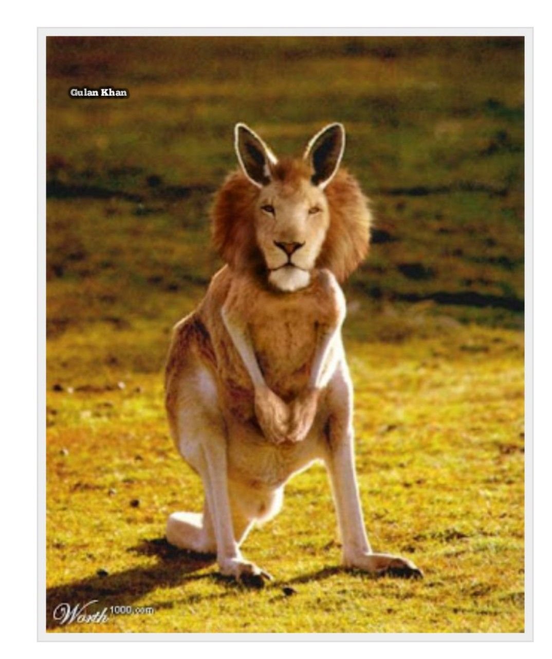 Скрещенные животные