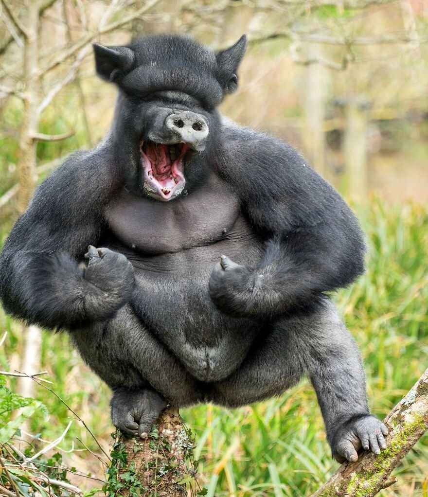 Арне Олав Гурвин