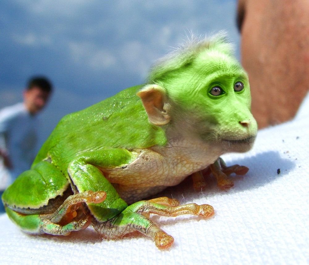 Арне Олав Гурвин