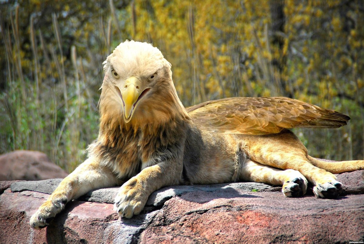 Несуществующие животные