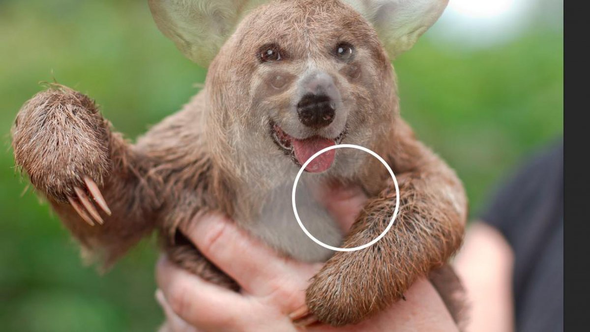 Слияние животных