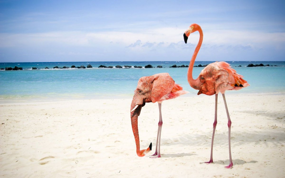 Арне Фредриксен