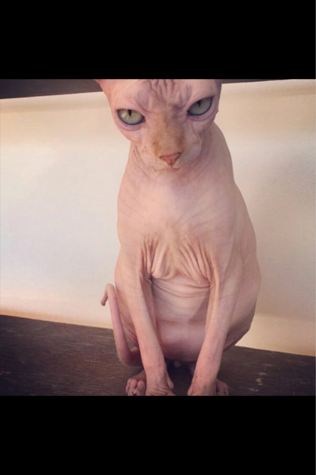 Так выглядит грусть