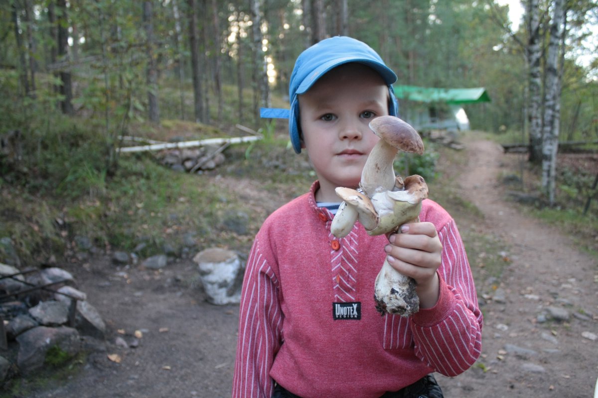 Припять животные мутанты