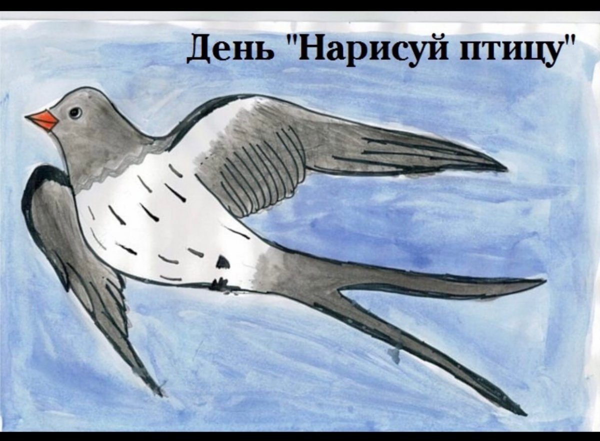 Перелетные птицы Кировской области