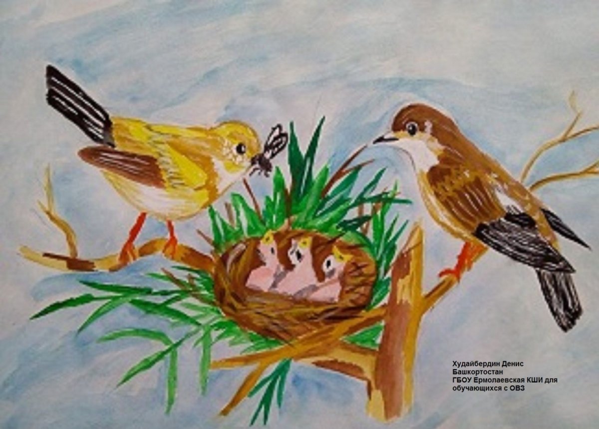 Мелкие перелетные птицы