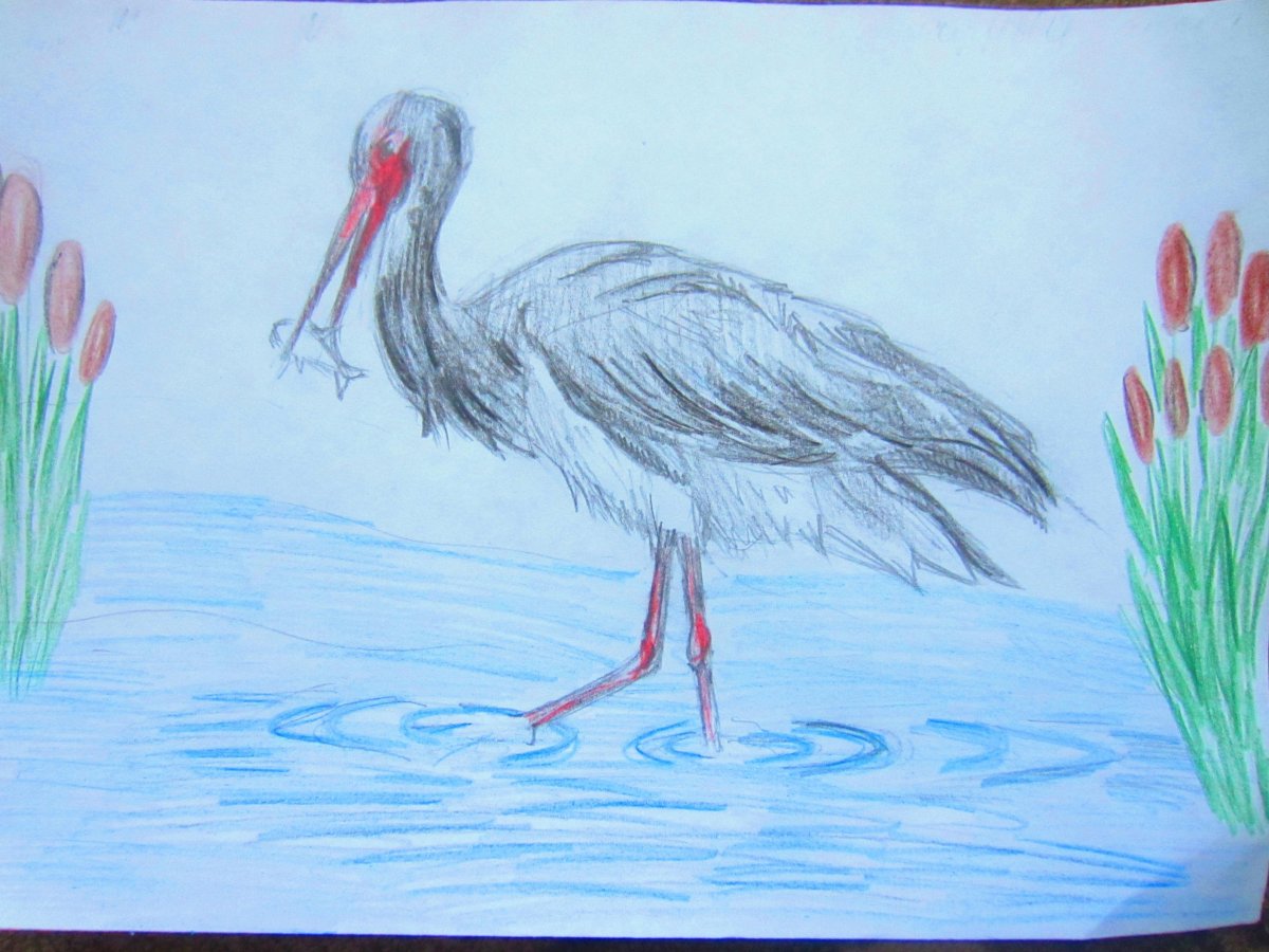 Дикие гуси в живописи