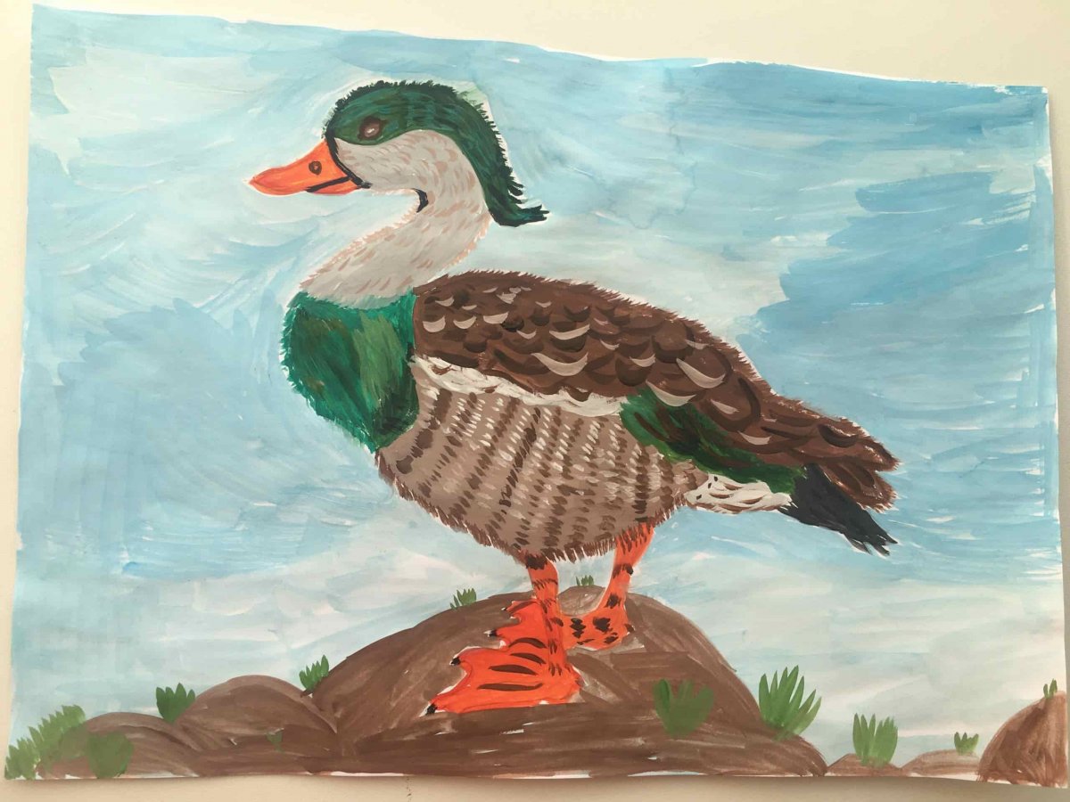 Группы птиц перелетные зимующие и