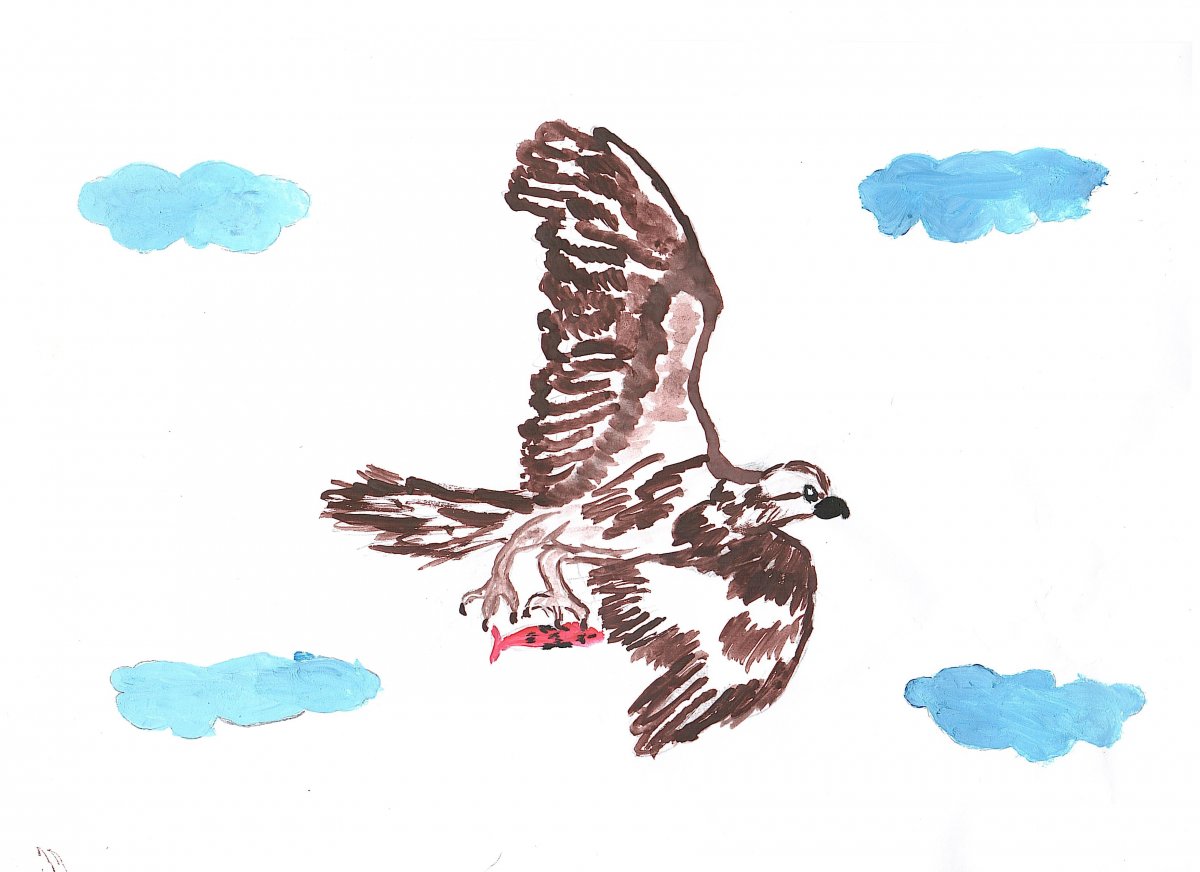 Перелетные птицы для детей