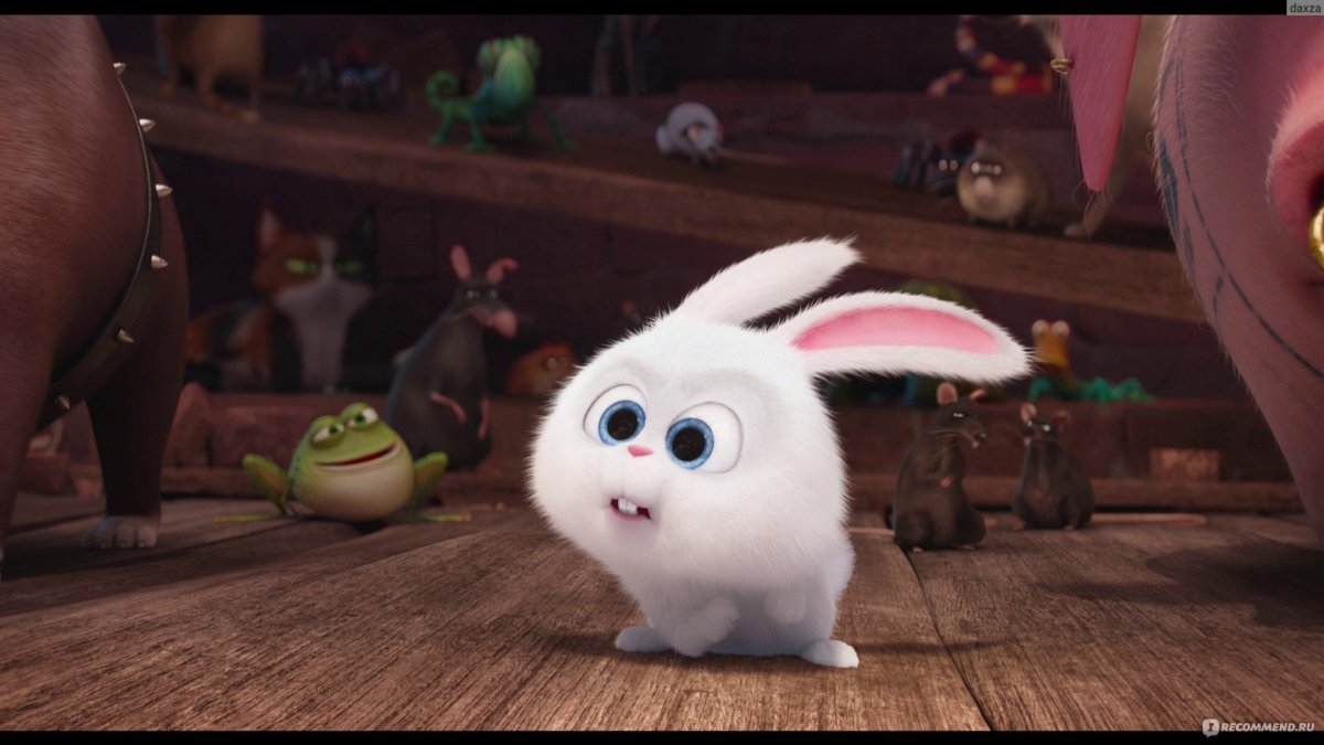 Кролик из мультика домашние животные