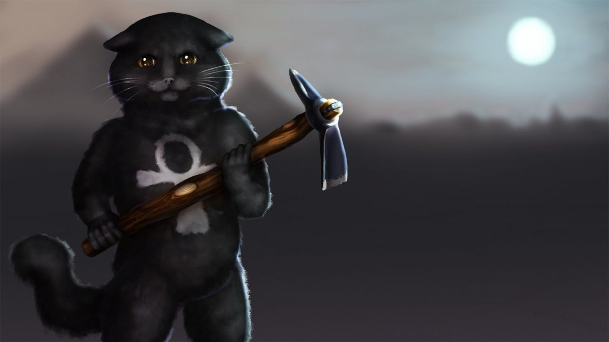 Котенок в каске