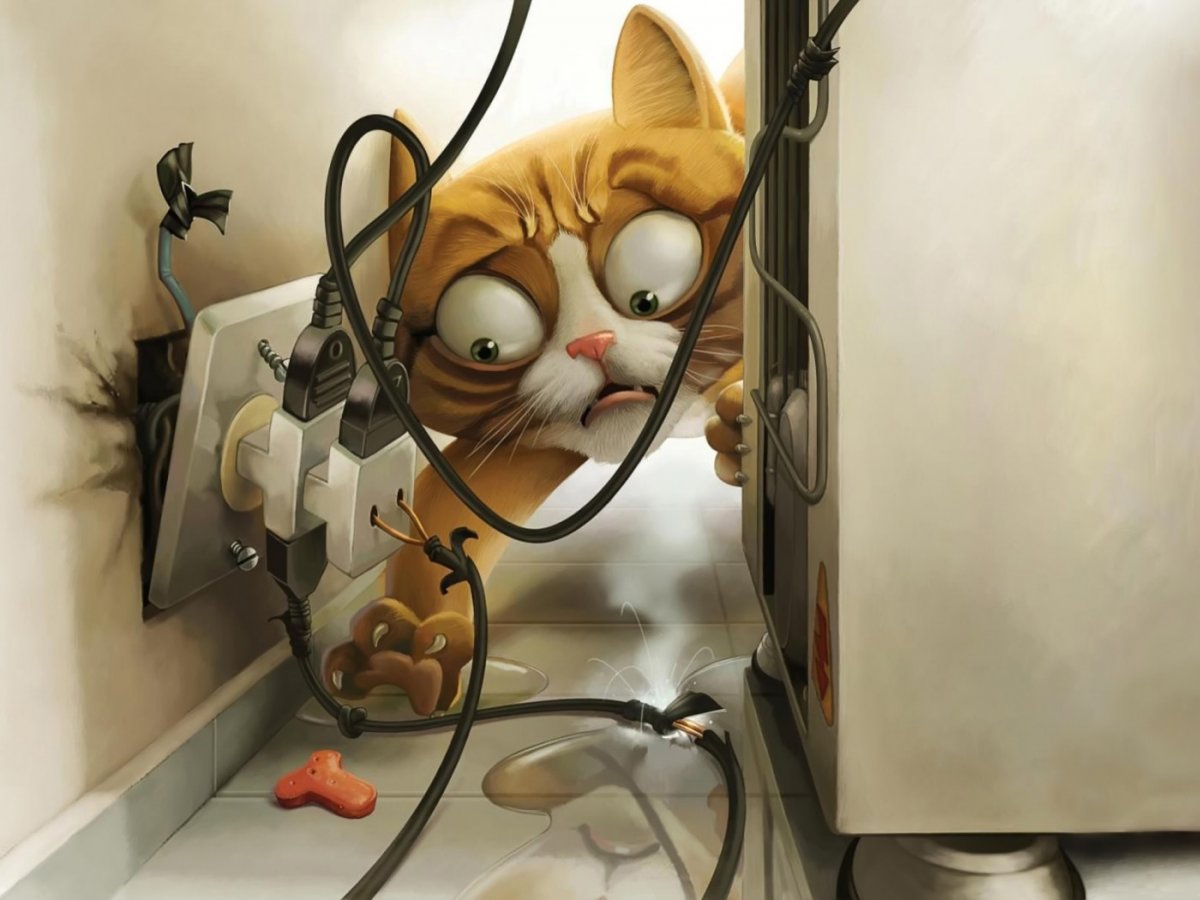 Заставки на телефон прикольные