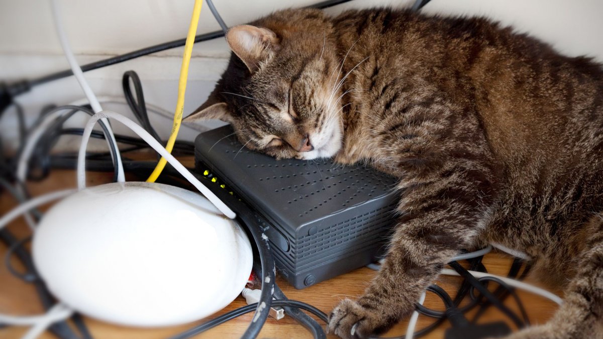 Лампочка розетка