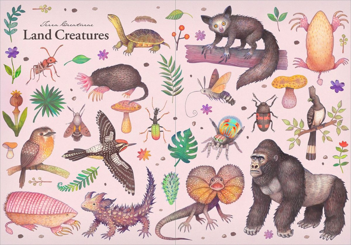 Энциклопедическая иллюстрация