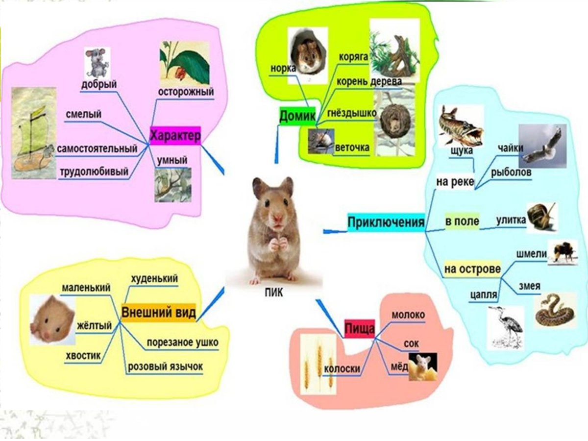 Много животных