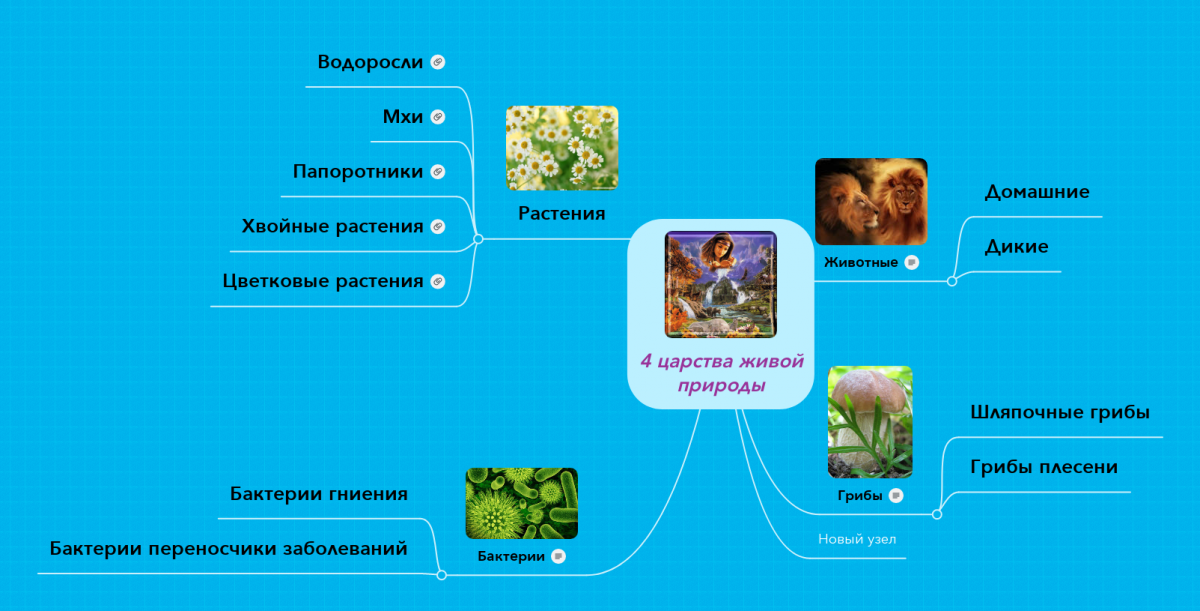 День защиты животных