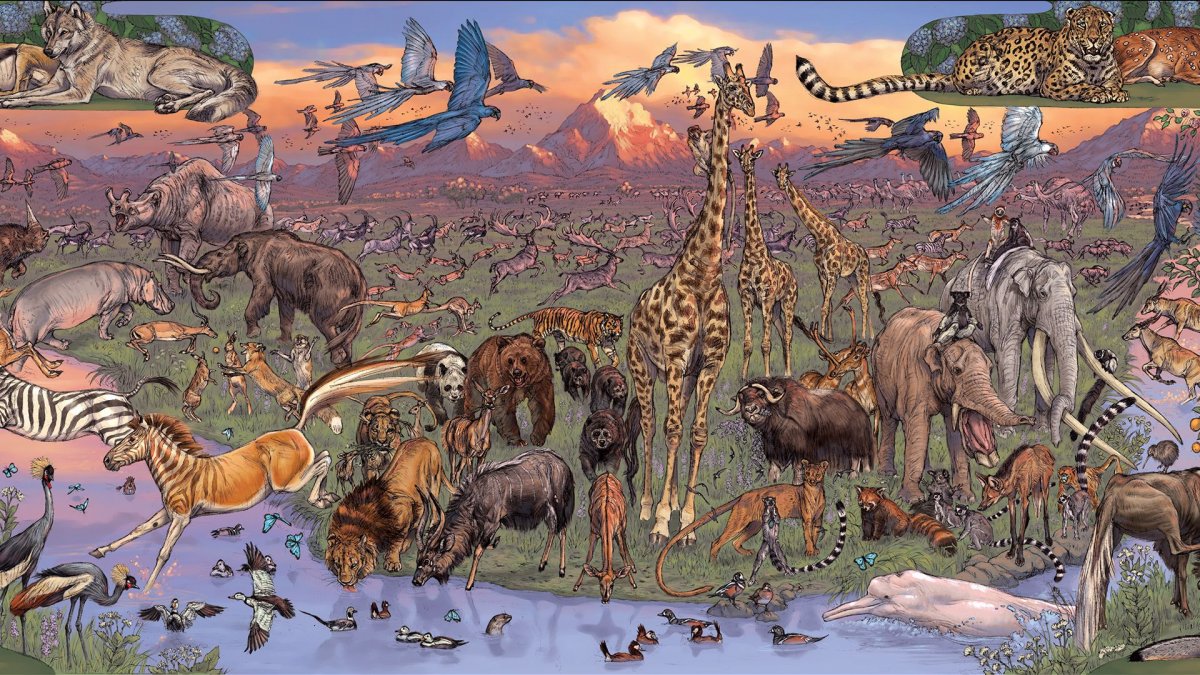 Царства живой природы доядерные